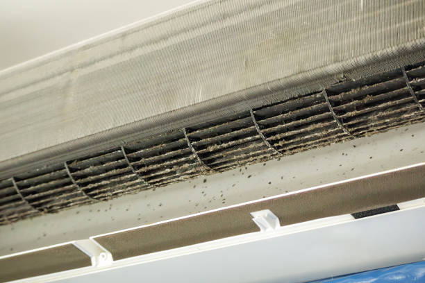 Best Local Air Duct Cleaning Services  in Arlington Heights, IL